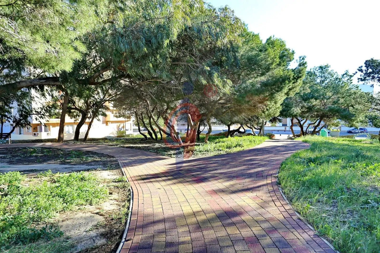 Vista exterior de Planta baixa en venda en Guardamar del Segura amb Aire condicionat, Terrassa i Traster