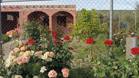 Terreno en venta en Carretera Torreblascopedro, Baeza