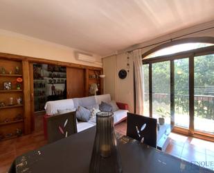 Sala d'estar de Apartament en venda en Santa Cristina d'Aro amb Terrassa i Balcó