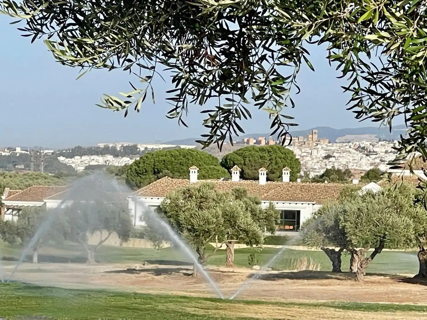 Villa con piscina in vendita a Calle c. de los olivos, imagen 82