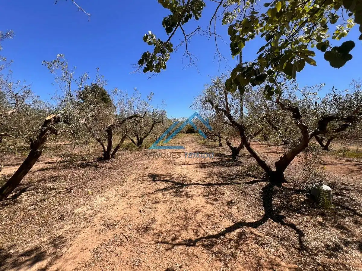 Land for sale in Vinyols i els Arcs