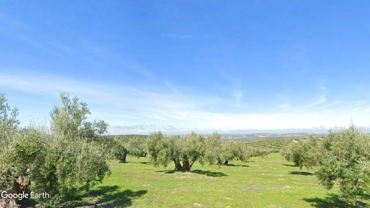 Terreni e lotti in vendita a Torredonjimeno, imagen 2