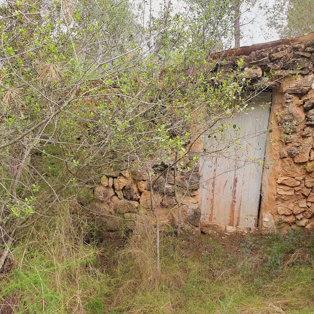 Terrain rustique à vendre à Benifallet, imagen 41