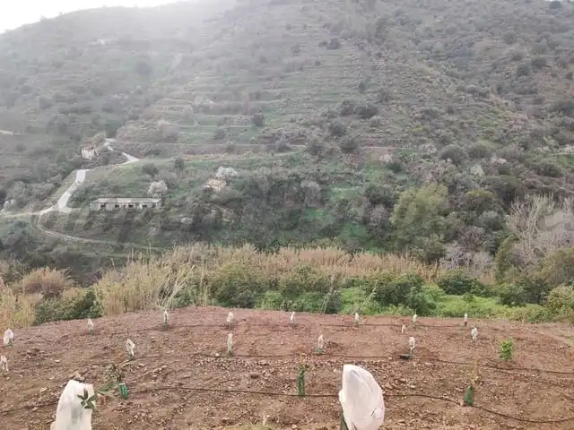 Terreni e lotti in vendita a Torrox Pueblo