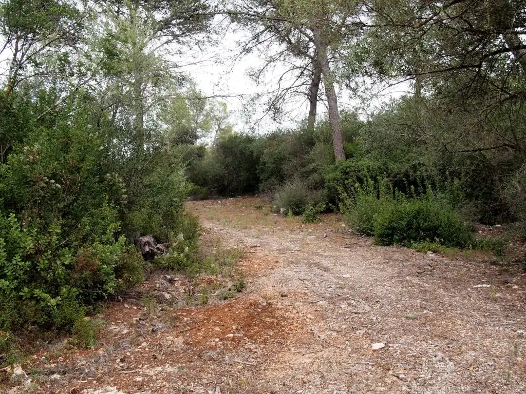 Grundstücke und Bauplätze zum Verkauf in Camino des campàs, imagen 7