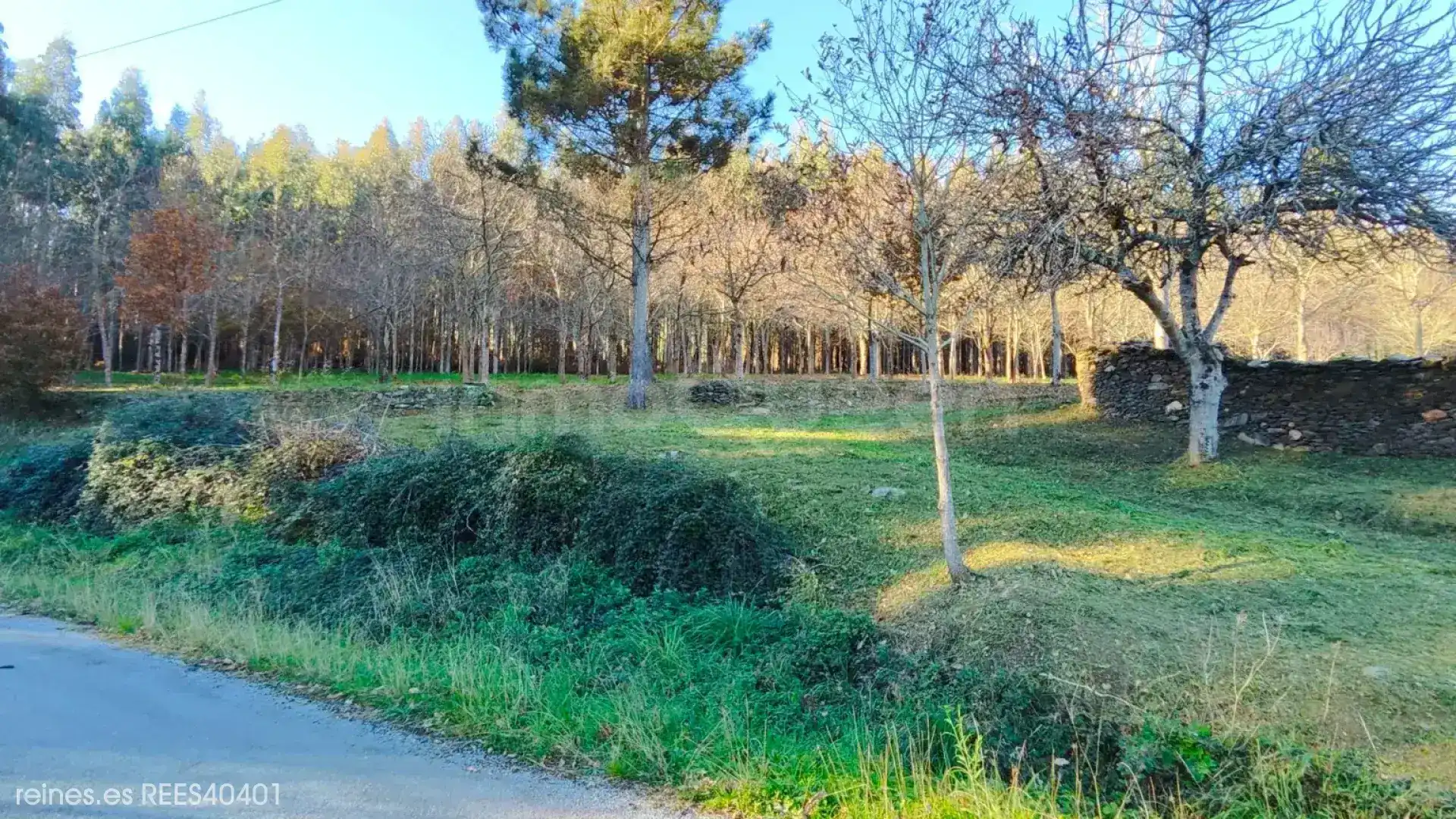 Residencial en venta en A Pontenova  