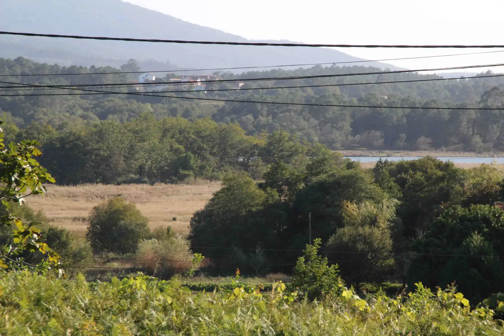 Terreni e lotti in vendita a Dodro, imagen 4