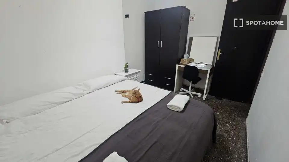 Habitación en Centre