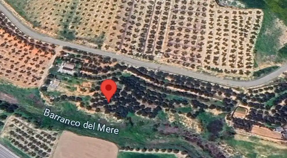 Terreny rústic en venda a Pilon