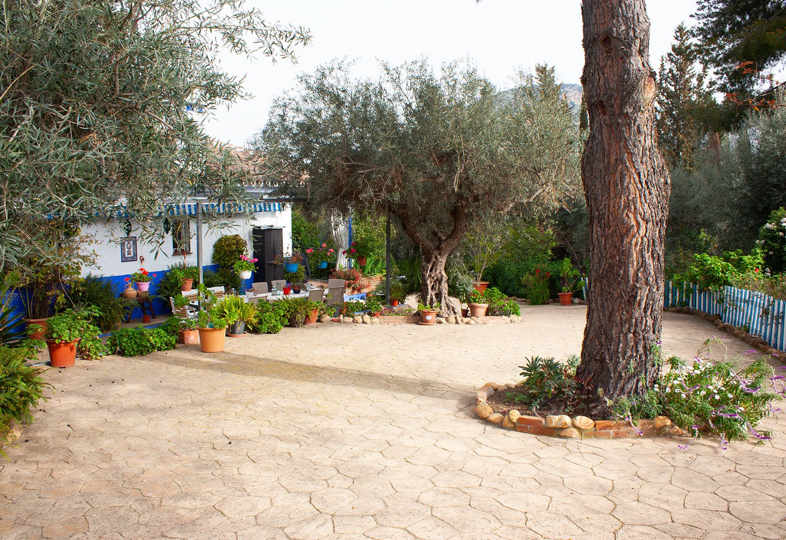 Garden of Houses for sale in Coín  with Air Conditioner, Private garden and Terrace