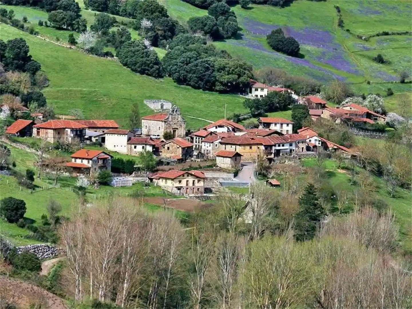 Vista exterior de Finca rústica en venta en Cillorigo de Liébana