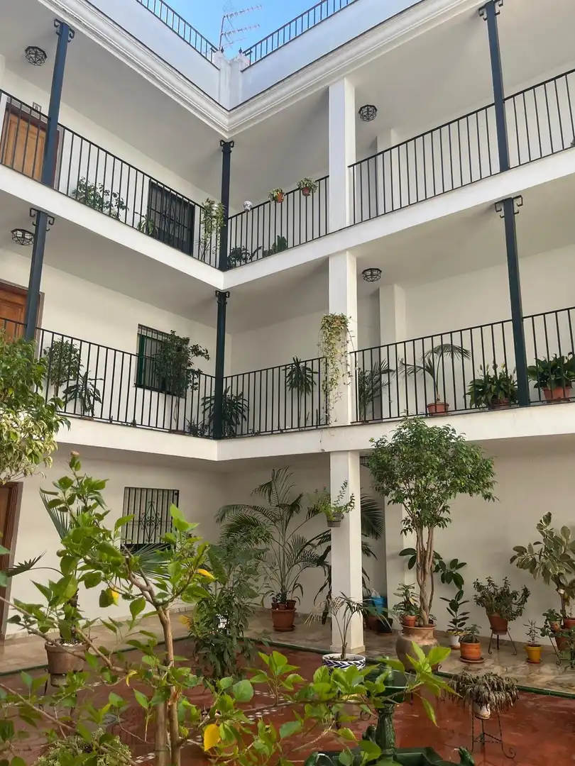 Terraza de Piso de alquiler en Sevilla