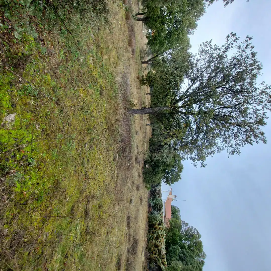 Terreni e lotti in vendita a Maello, imagen 5