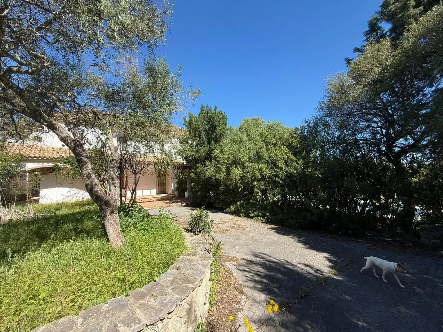 Garden of Houses for sale in Benalup-Casas Viejas  with Heating, Private garden and Terrace