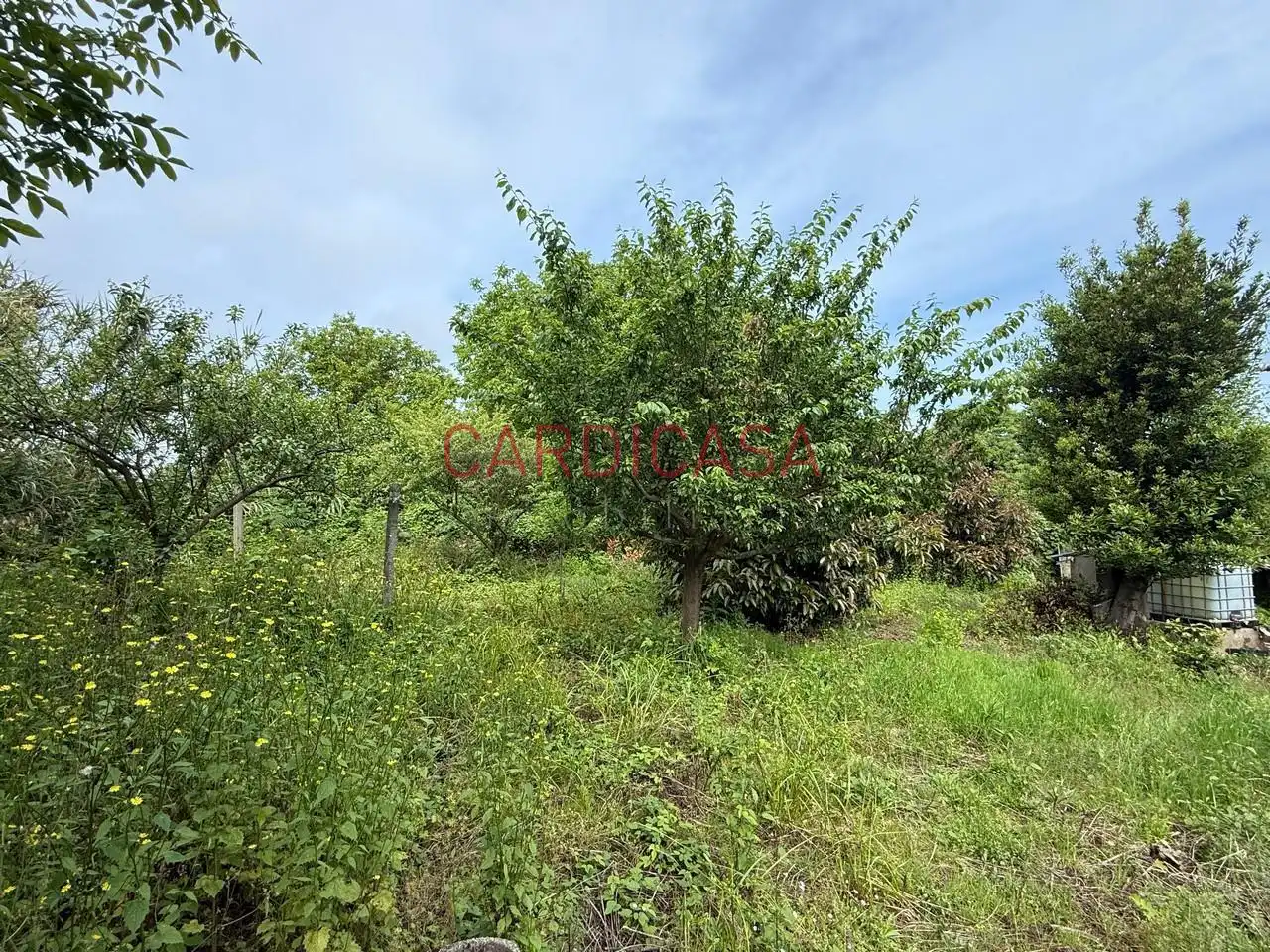 Casa o chalet en venta en Primera Travesía de Cordoeira, Coia