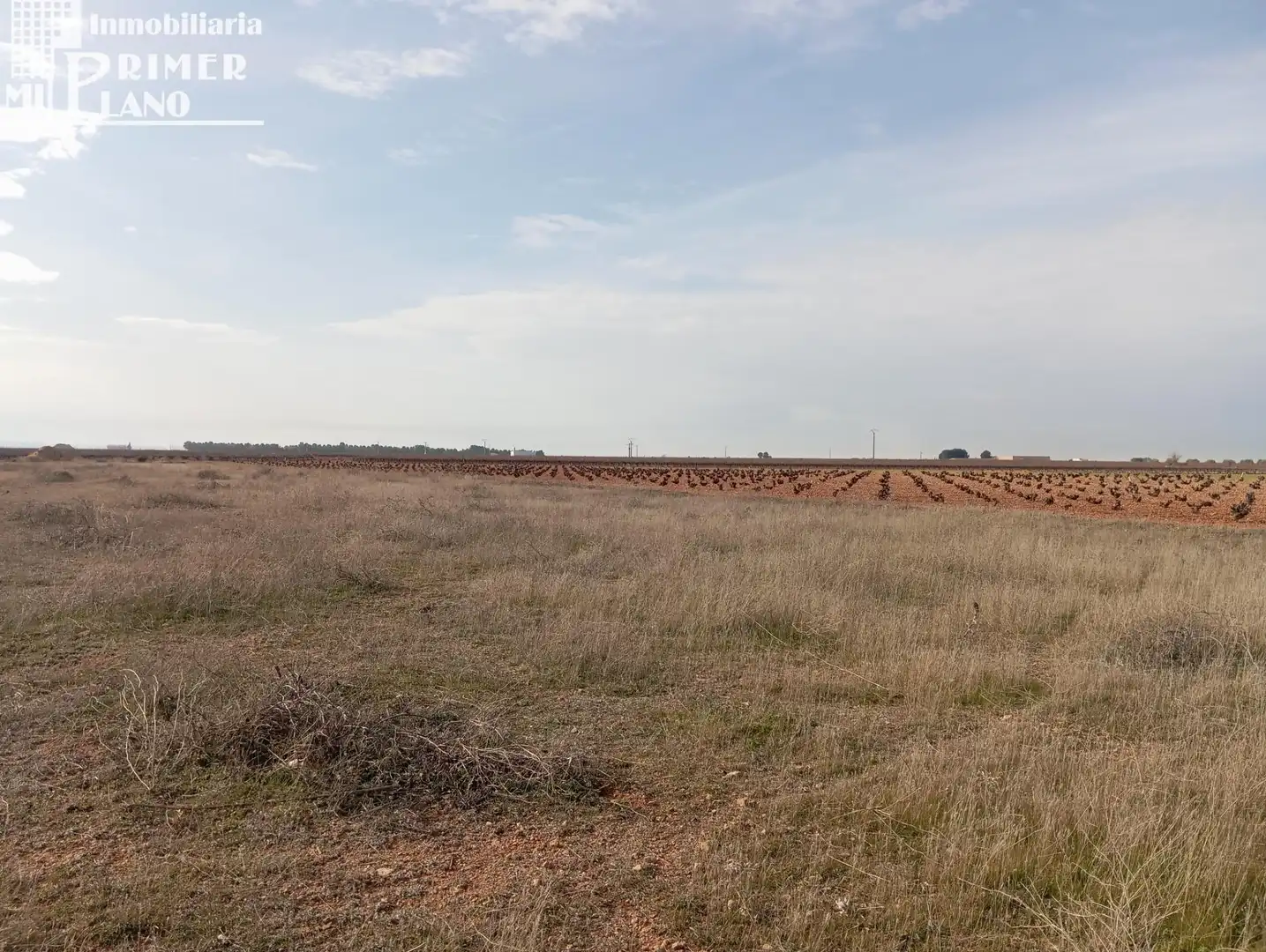 Lands and plots for sale in Ossa de Montiel, imagen 2