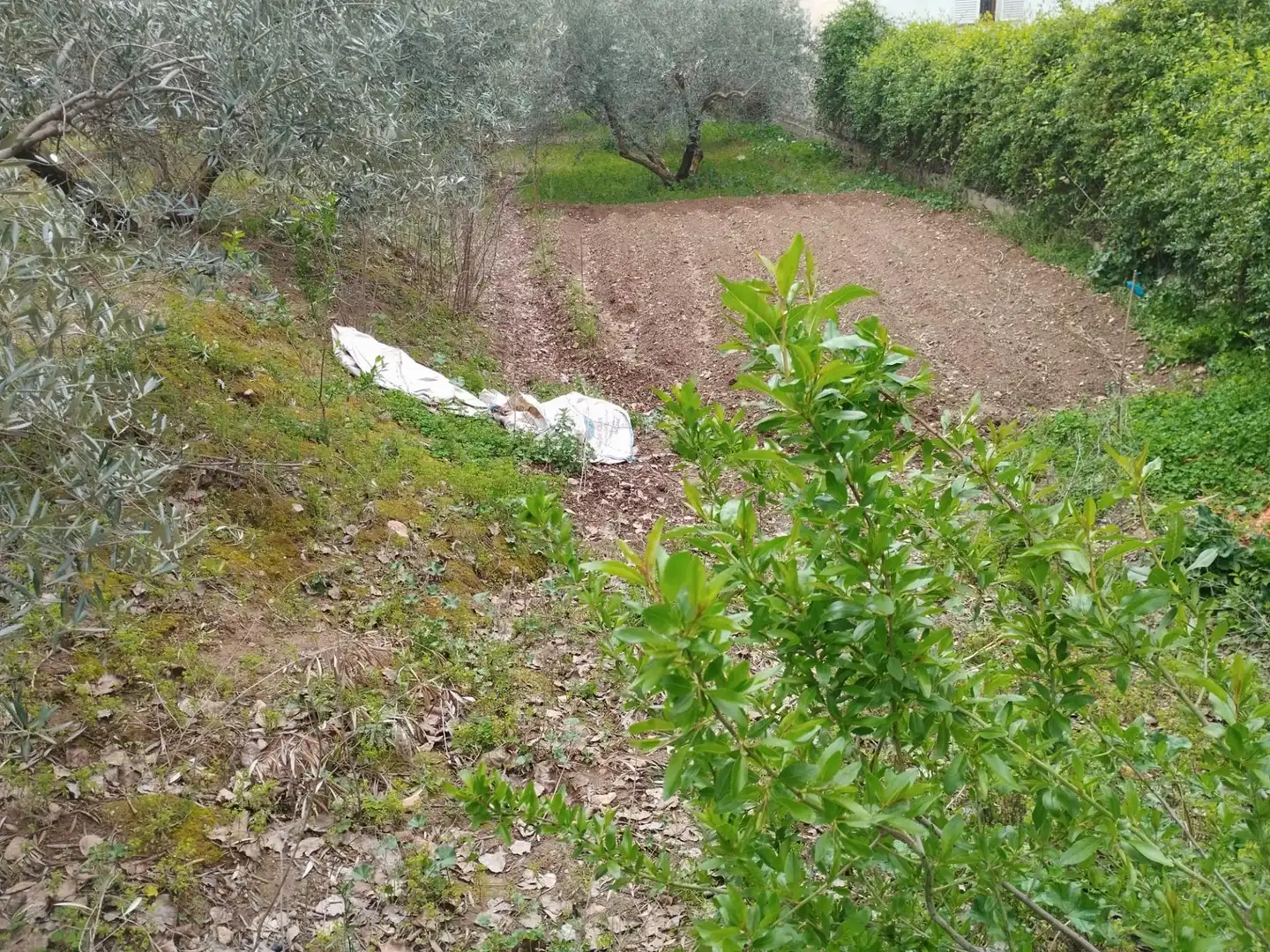 Terreni e lotti in vendita a Camino del cerro poligono 3 parcela, imagen 15