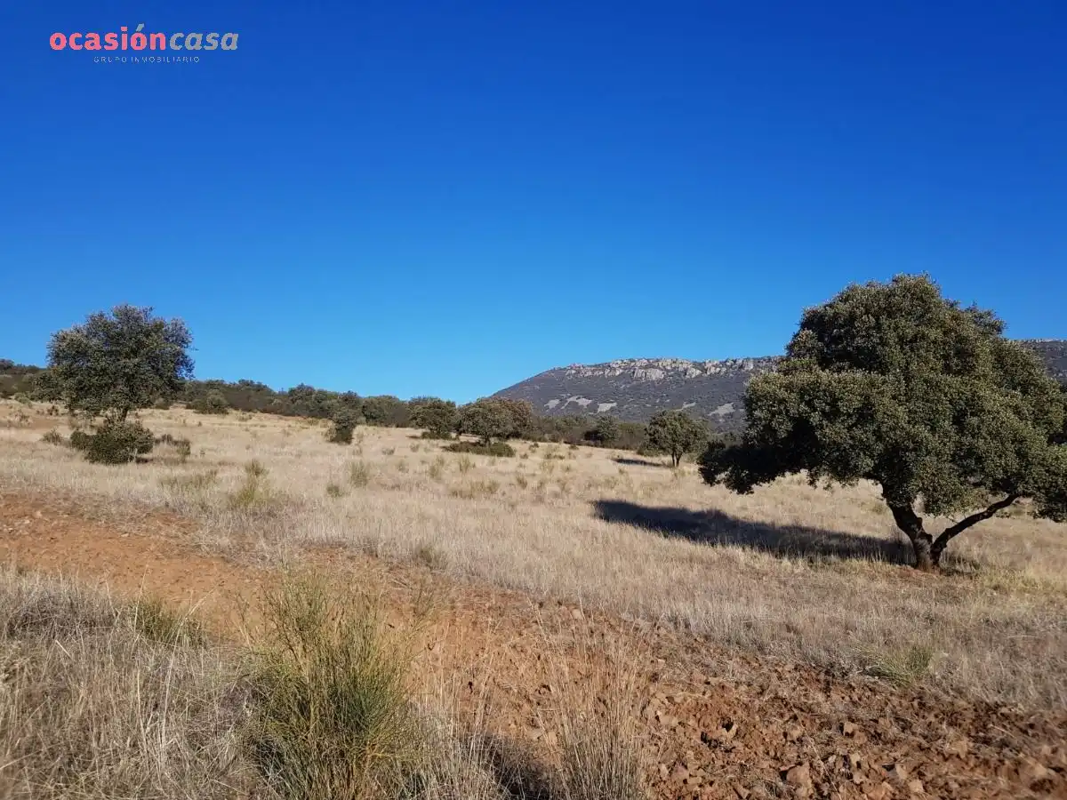 Casa o chalet en venta en Santa Eufemia
