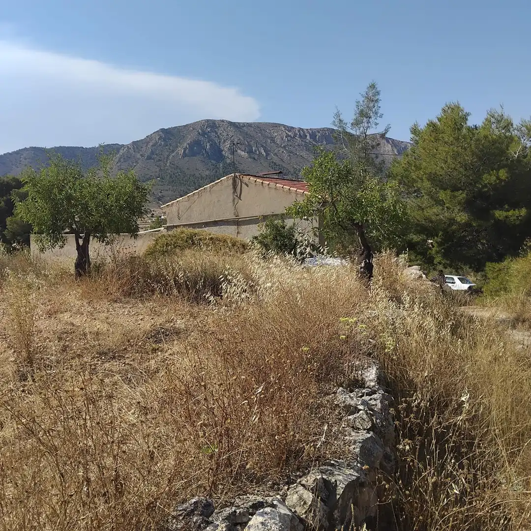Detached homes for sale in La Romana