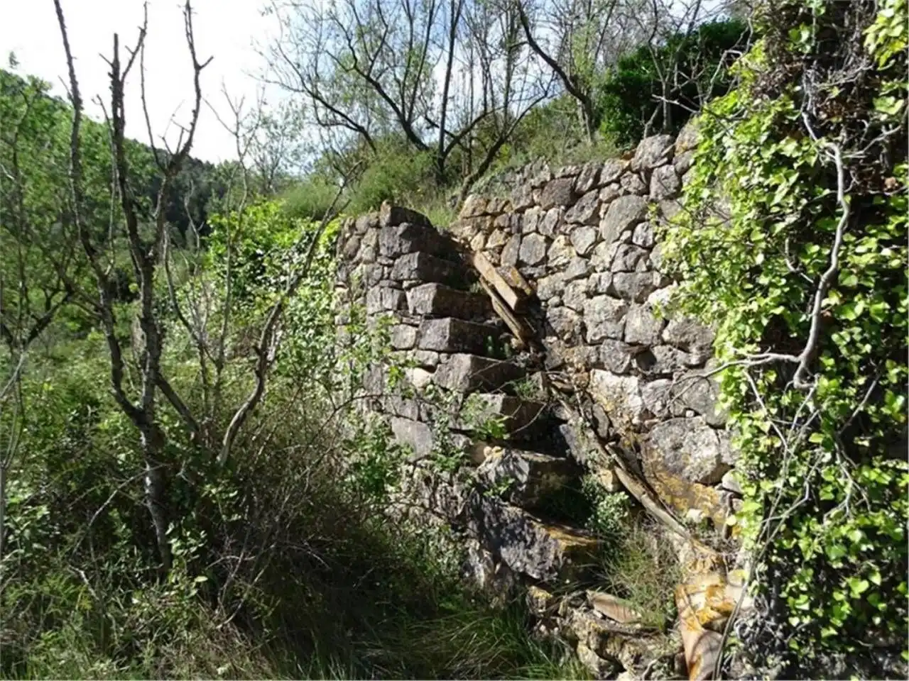 Wohnbaugrundstück zum Verkauf in Paüls, imagen 21