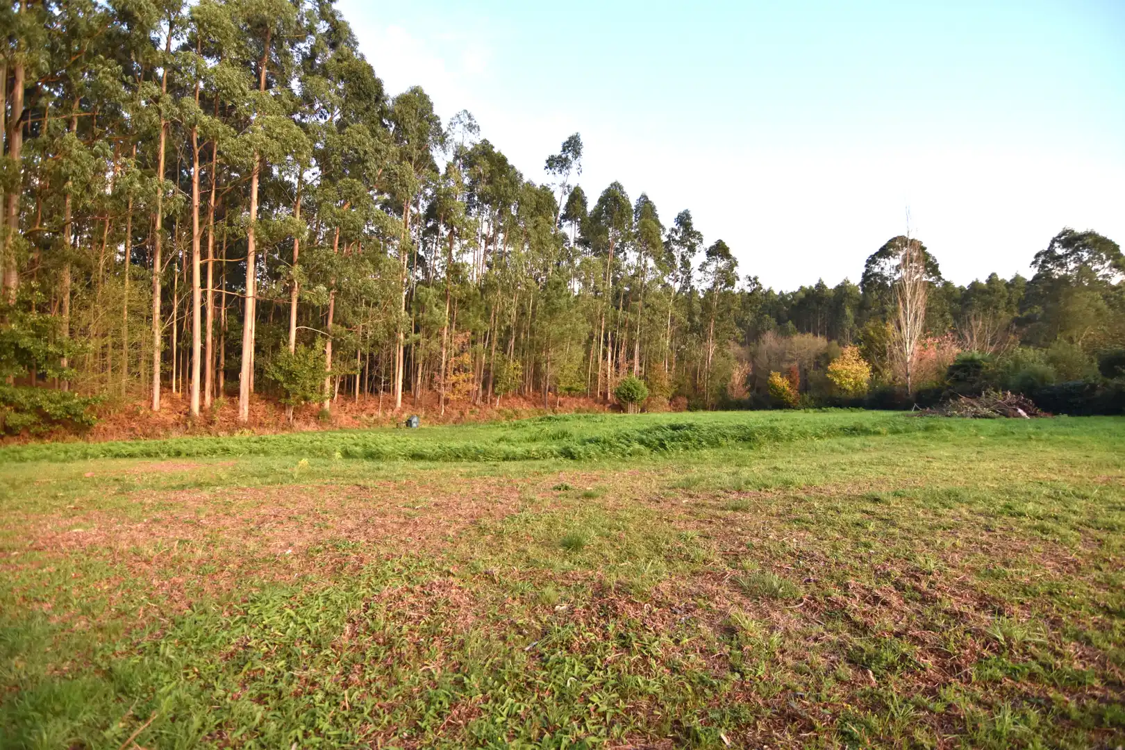Houses for sale in Narón  with Heating, Private garden and Storage room
