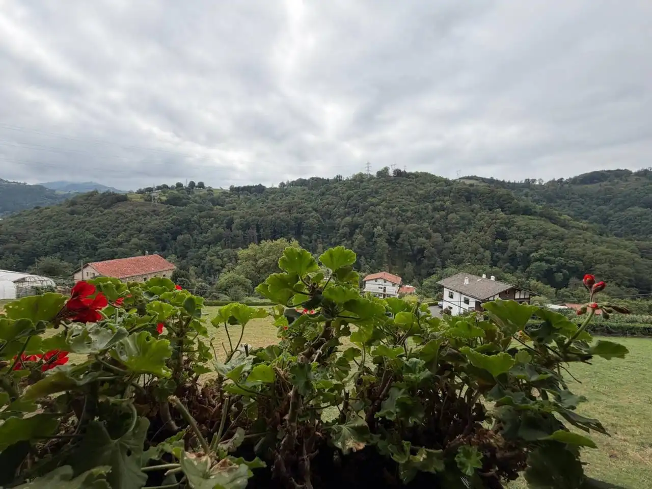 Garden of Houses for sale in Hernialde  with Private garden, Terrace and Furnished