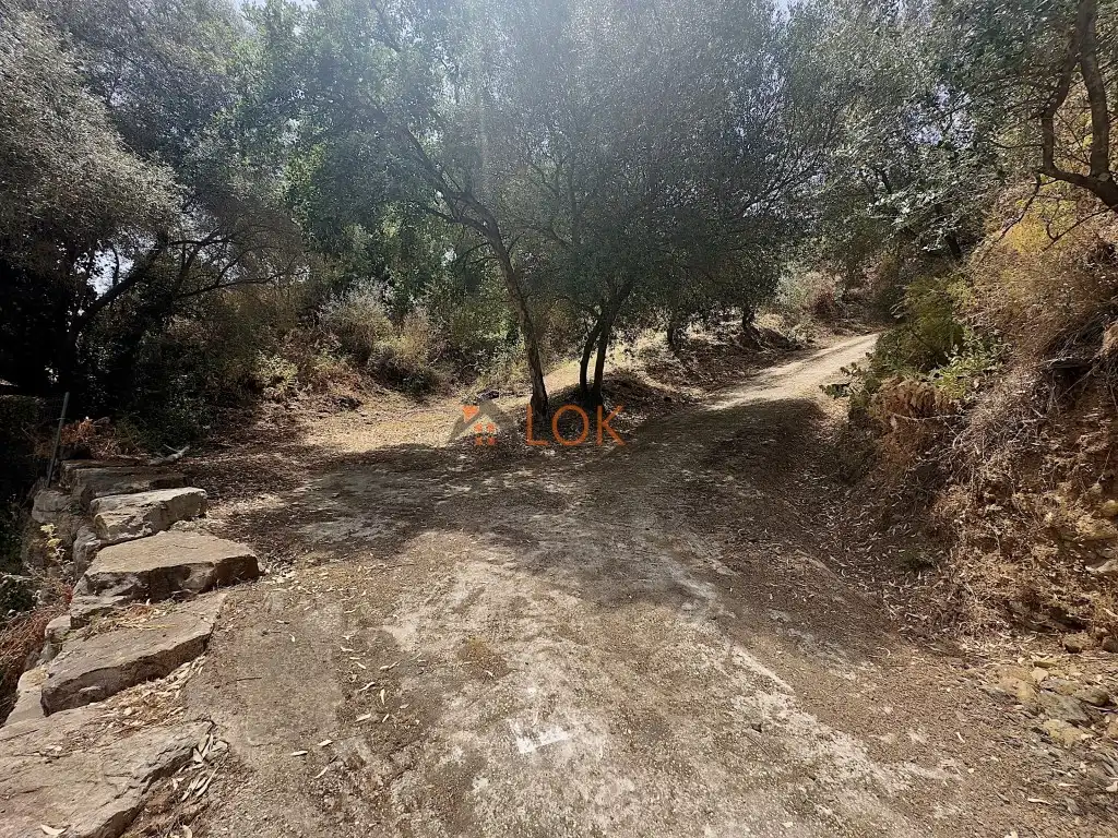 House with pool for sale in Camino de Nicola, imagen 36