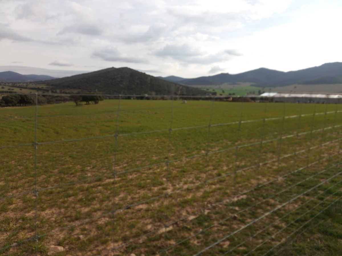 Finca rústica en venta en Fuente el Fresno