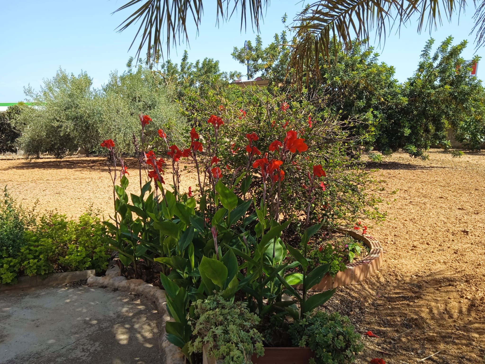 Casa o xalet en venda a Centro Comercial - Capsades - Hospital