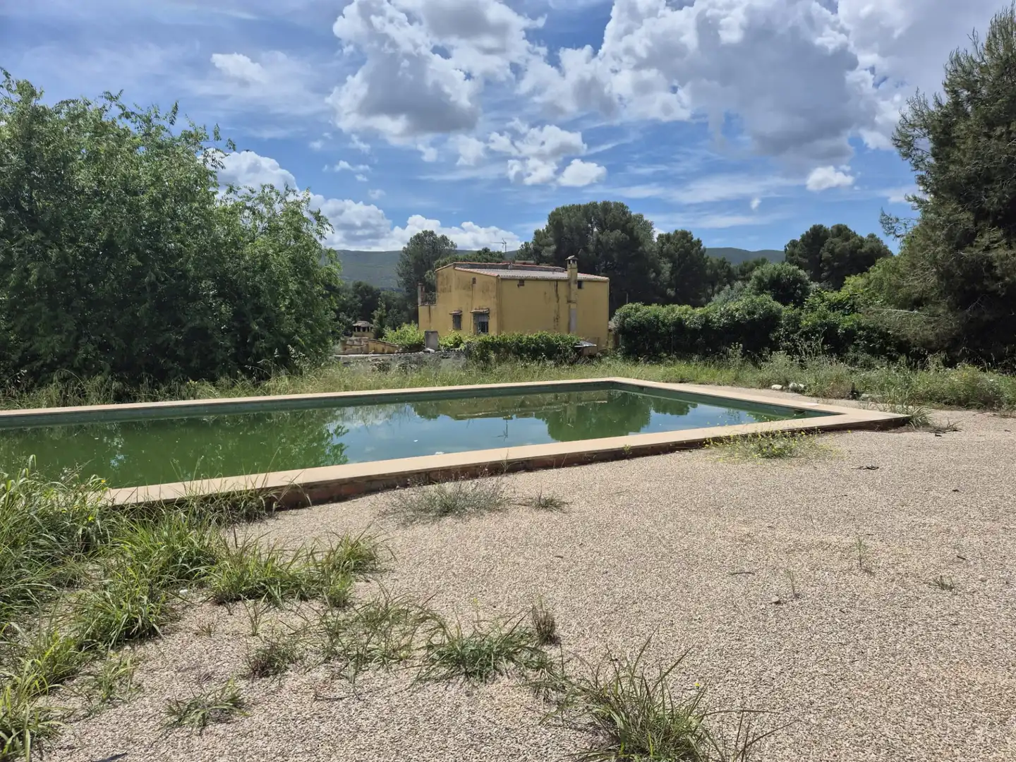 Swimming pool of Houses for sale in Sollana  with Terrace