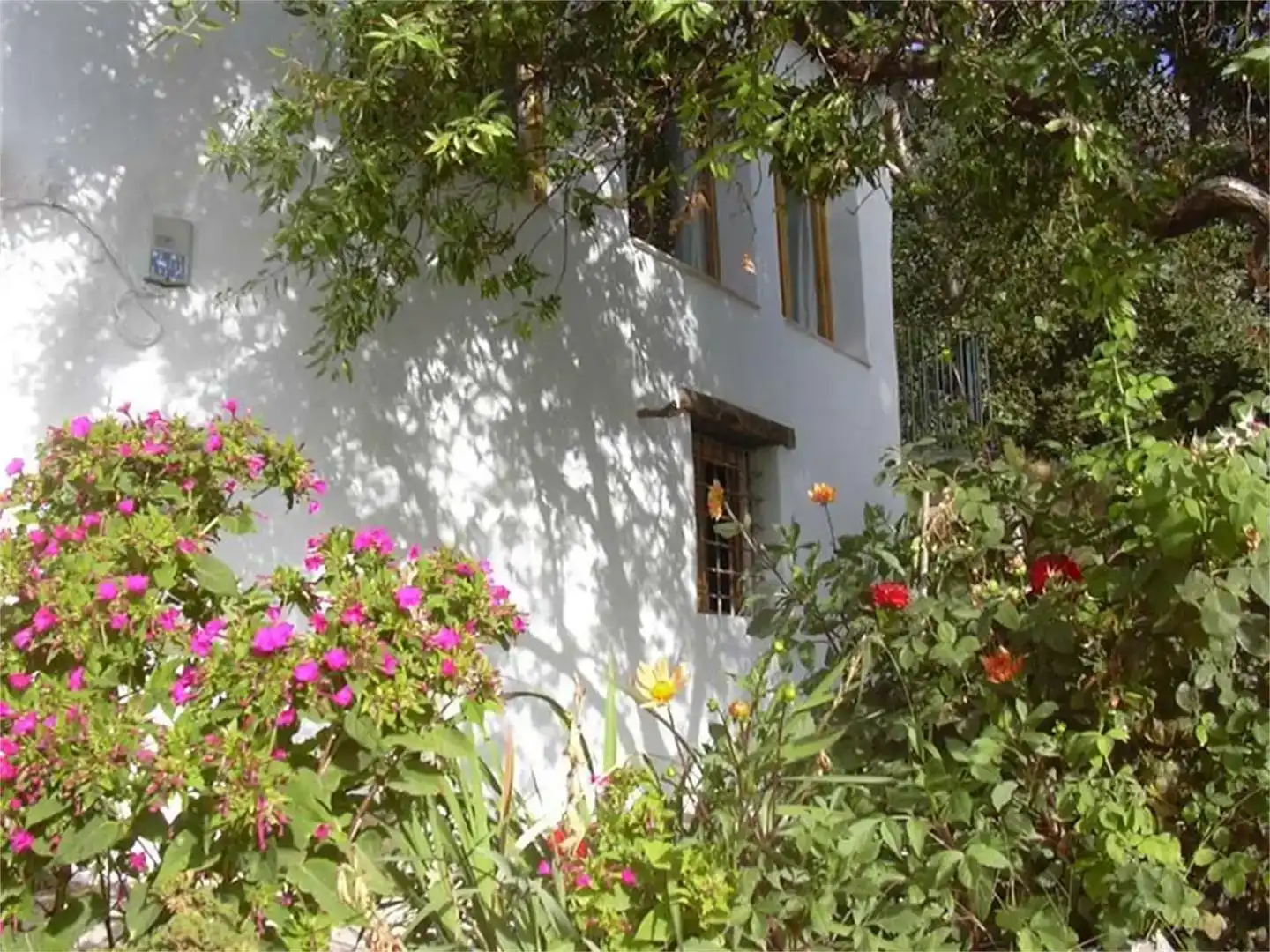 Jardí de Finca rústica en venda en Yeste amb Jardí privat, Traster i Piscina