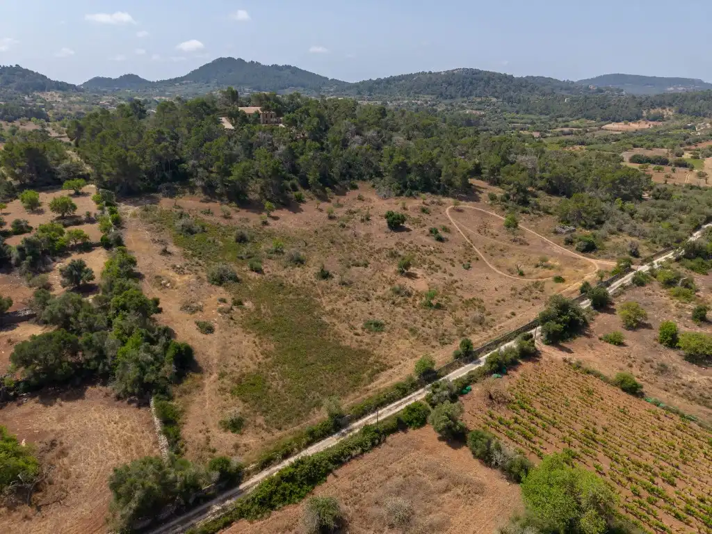 Rural land for sale in Felanitx Poble, imagen 9