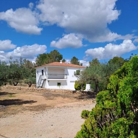 Vista exterior de Casa o xalet en venda en L'Ampolla amb Jardí privat