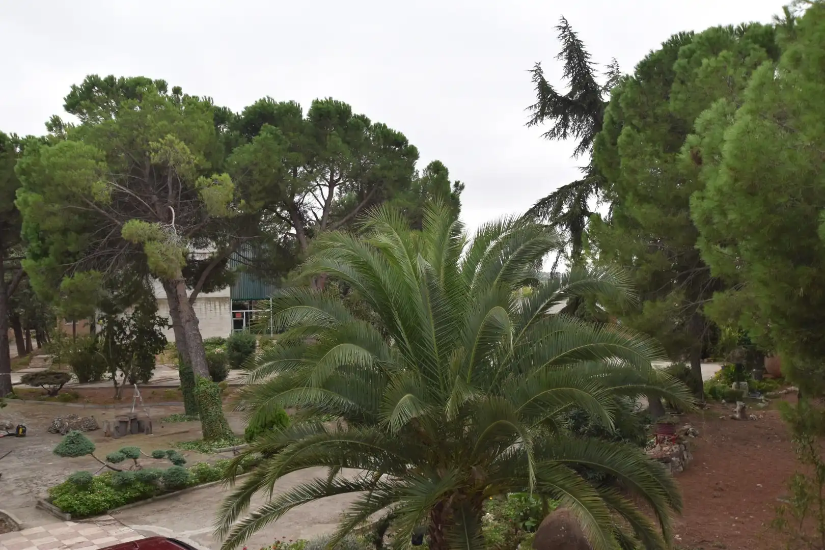 Casa o chalet en venta en Fuente El Saz de Jarama