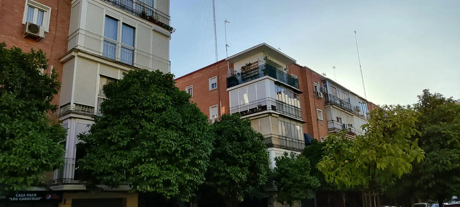 Pis de lloguer a JUNCAL (DEL), El Plantinar – Avda. La Paz - El Juncal
