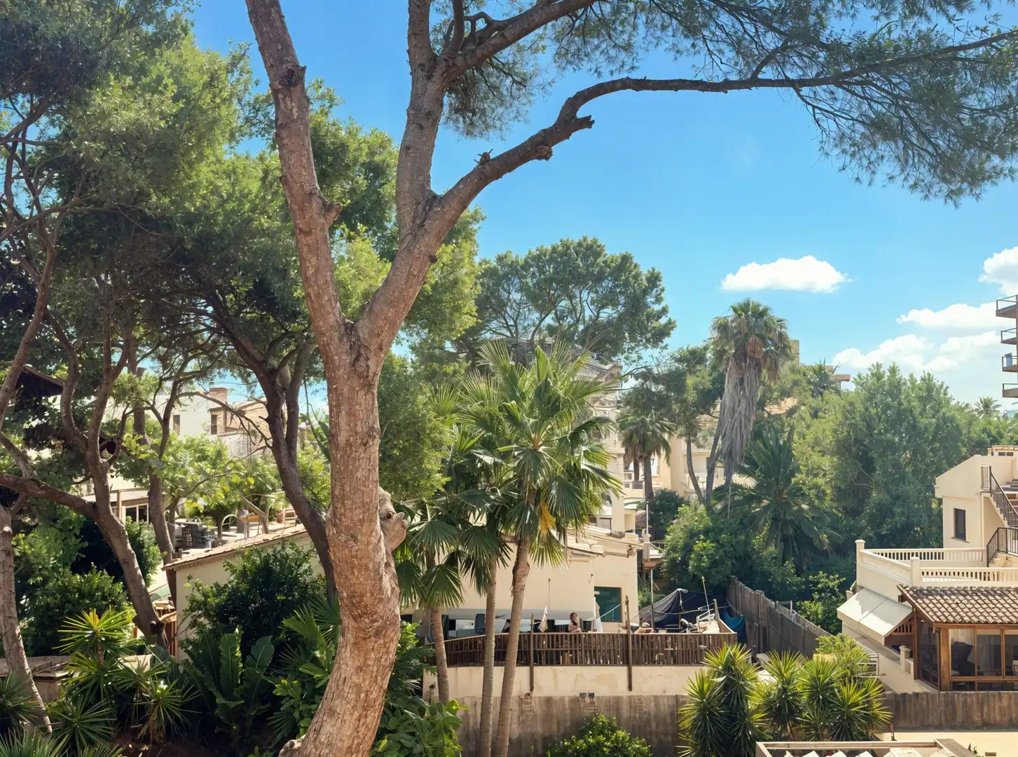 Maison avec terrasse à vendre à Platja de Palma, imagen 8