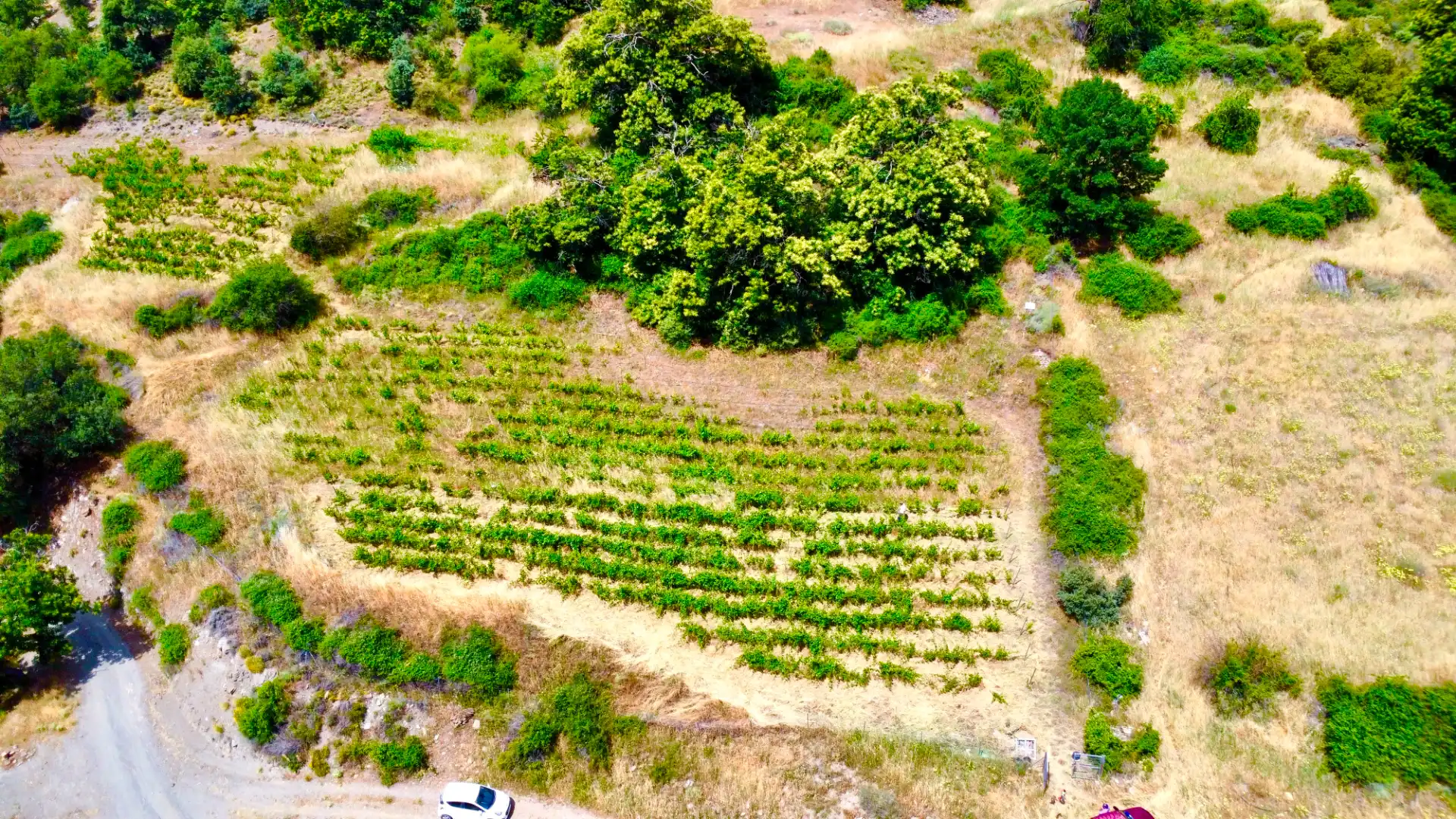 Terreni e lotti in vendita a Alpujarra de la Sierra, imagen 30