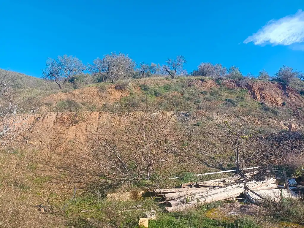 Terreno rústico en venta en Avenida Huerta De La, imagen 4
