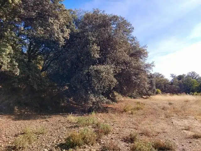Country homes for sale in Pórtugos