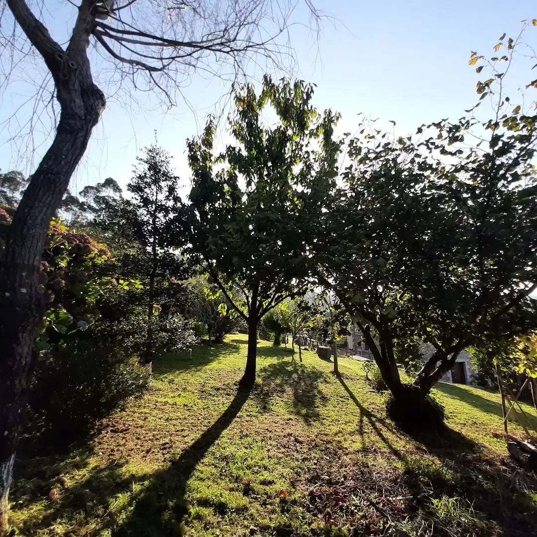 Xalet amb jardí en venda a Calle Doutor Llisterri 37, imagen 27
