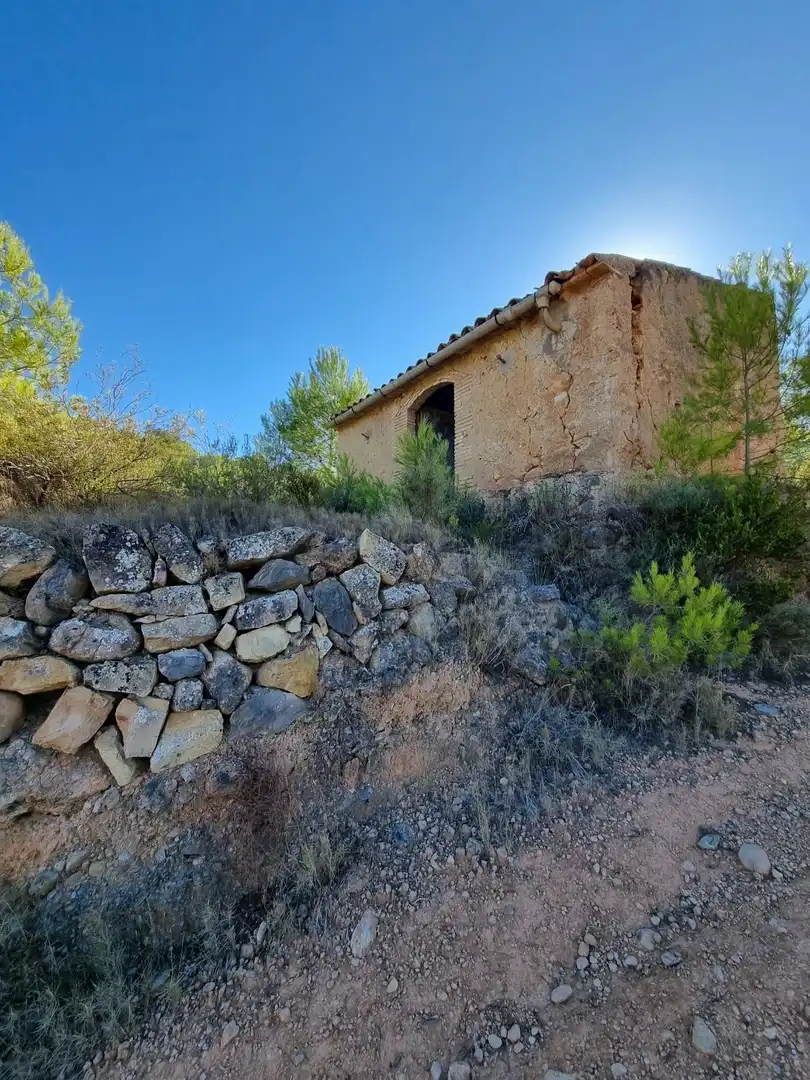 Lands and plots for sale in poligono 7 parcela 274, imagen 13
