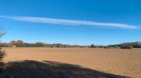 Photo 4 of Land for sale in Carretera Ullastret, 1, Serra de Daró, Girona