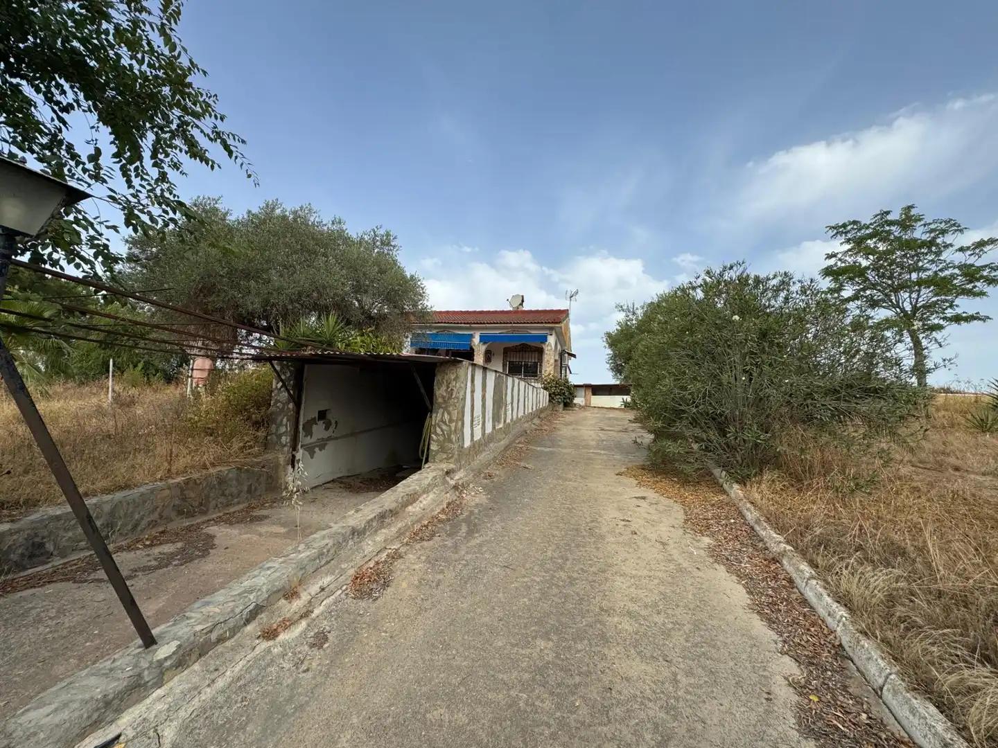 Chalet independiente Con una impresionante parcela de 3.600m2 !! parcela rustica en Los Ranchos de Guadiamar., imatge 4