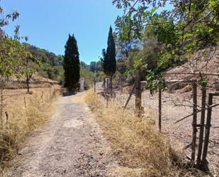 Finca rústica en venda en Andratx amb Terrassa