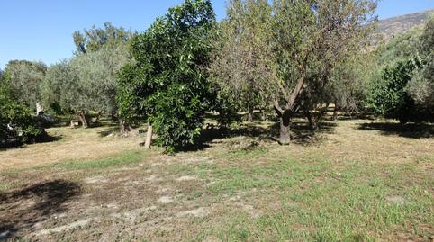 Photo 2 of House or chalet for sale in Órgiva, Granada