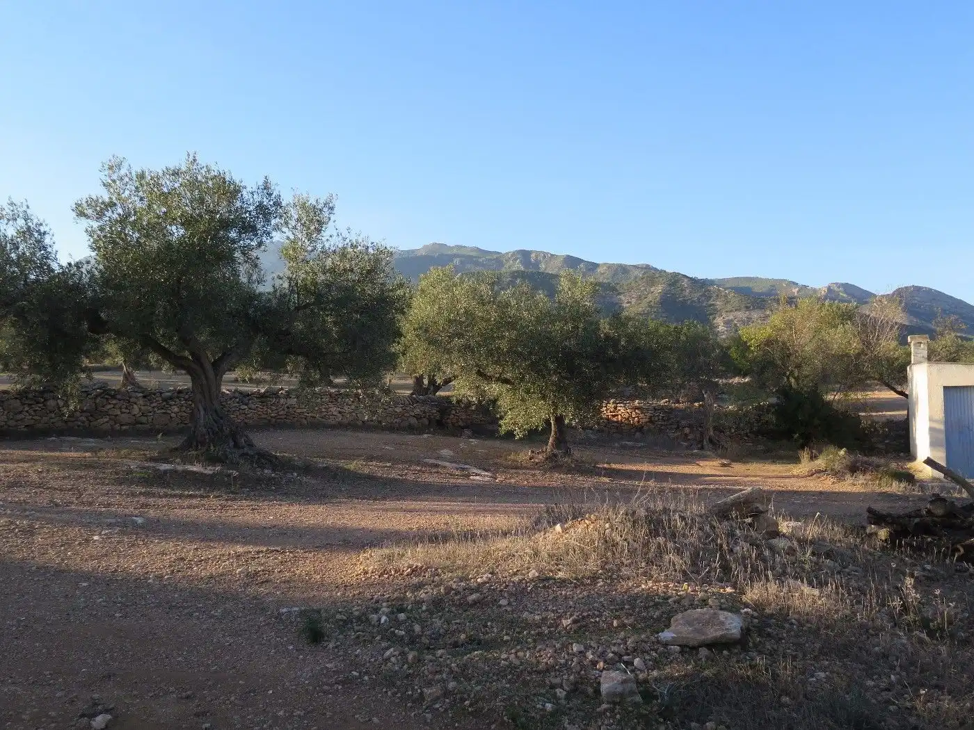 Terrain résidentiel à vendre à Xerta, imagen 6