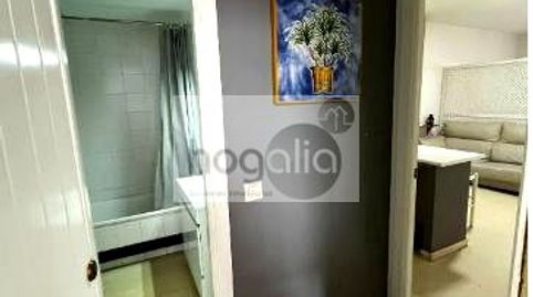 Foto 5 von Wohnung zur Miete in San Gil, Sevilla Capital