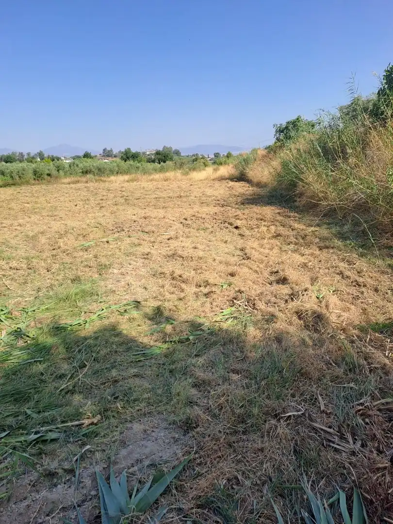 Terreno rustico in vendita a carretera coin