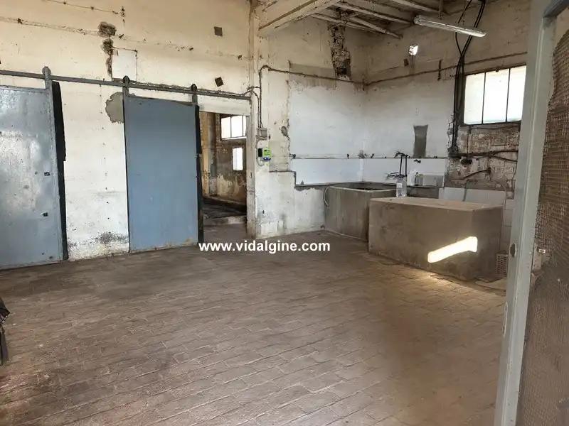 Industrial building for sale in Cami Barceloneta 5B, imagen 8