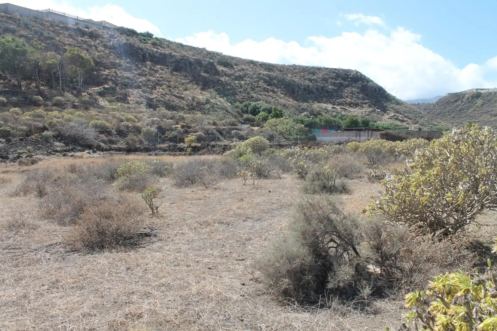Rural land for sale in San Gregorio, imagen 2